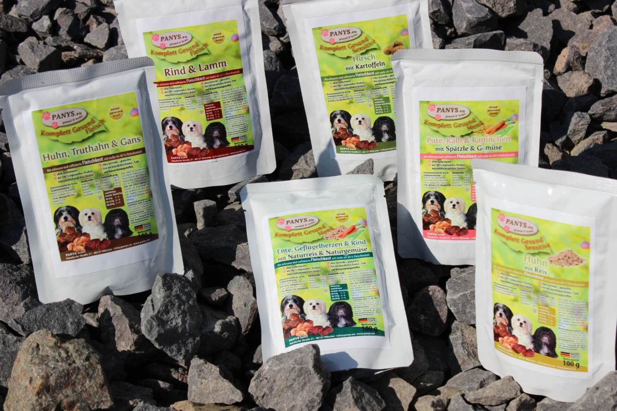 Probeset aus 6 Komplett-Gesund-Menüs