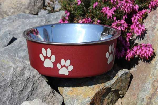 Edelstahlnapf Luna rot